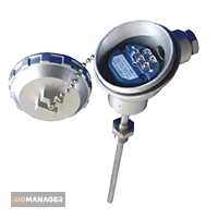 Temperature transmitter with RTD