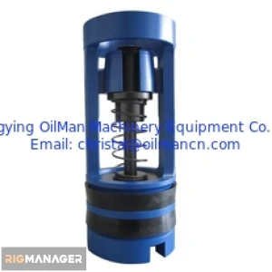 API Oilfield Plunger And Flapper Type Drill Pipe Float Valve For Oil Well Or Water Well