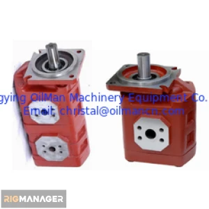 OilMan Hydraulic Submersible Water Pump , CBGJ Gear Oil Pumps